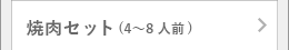 焼肉セット(4～8人前)