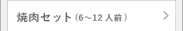 焼肉セット(6～12人前)